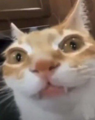 me when Randy Orton https://t.co/8KdIPrDEVN<a href="/tag/throne"class="tags"><span>#throne</span></a><a href="/tag/wishlist"class="tags"><span>#wishlist</span></a>