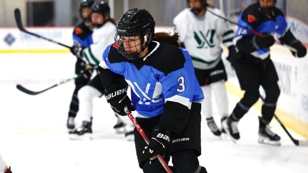 HKYIndigenous's tweet photo. Congratulations to Indigenous player Jocelyne Larocque (Métis) for registering her first career PWHL point with an assist! https://t.co/rer1qtL4PP