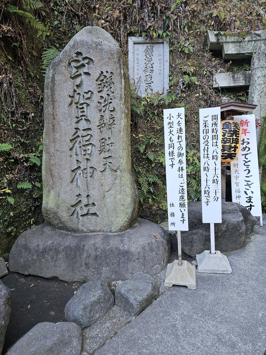 Rey___0331's tweet photo. 銭洗弁財天 宇賀福神社めっちゃ混んでる… https://t.co/5ziFW1nN9F