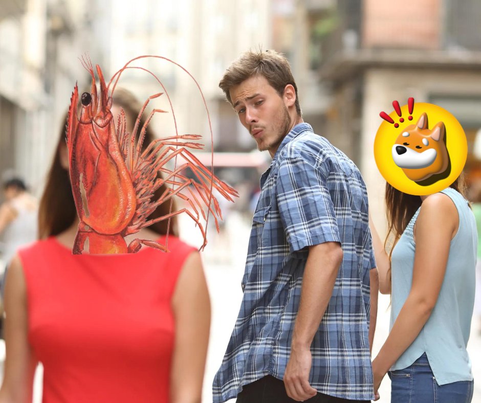 HodlRoss's tweet photo. @shrimpleSolana https://t.co/k6ZiIbZSbc