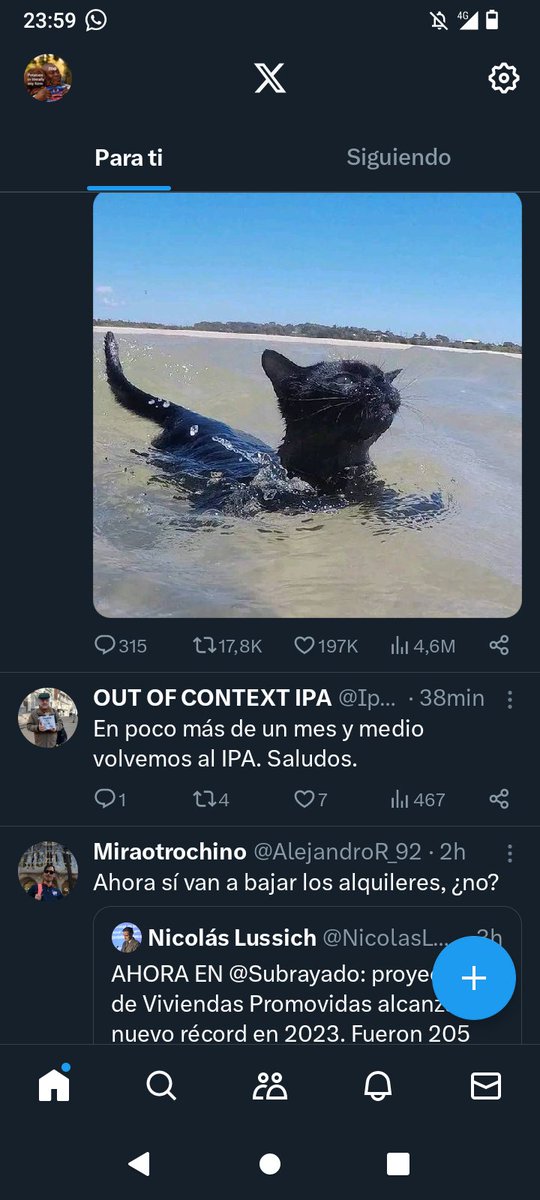 va-lentina²² 🇵🇸 tweet media