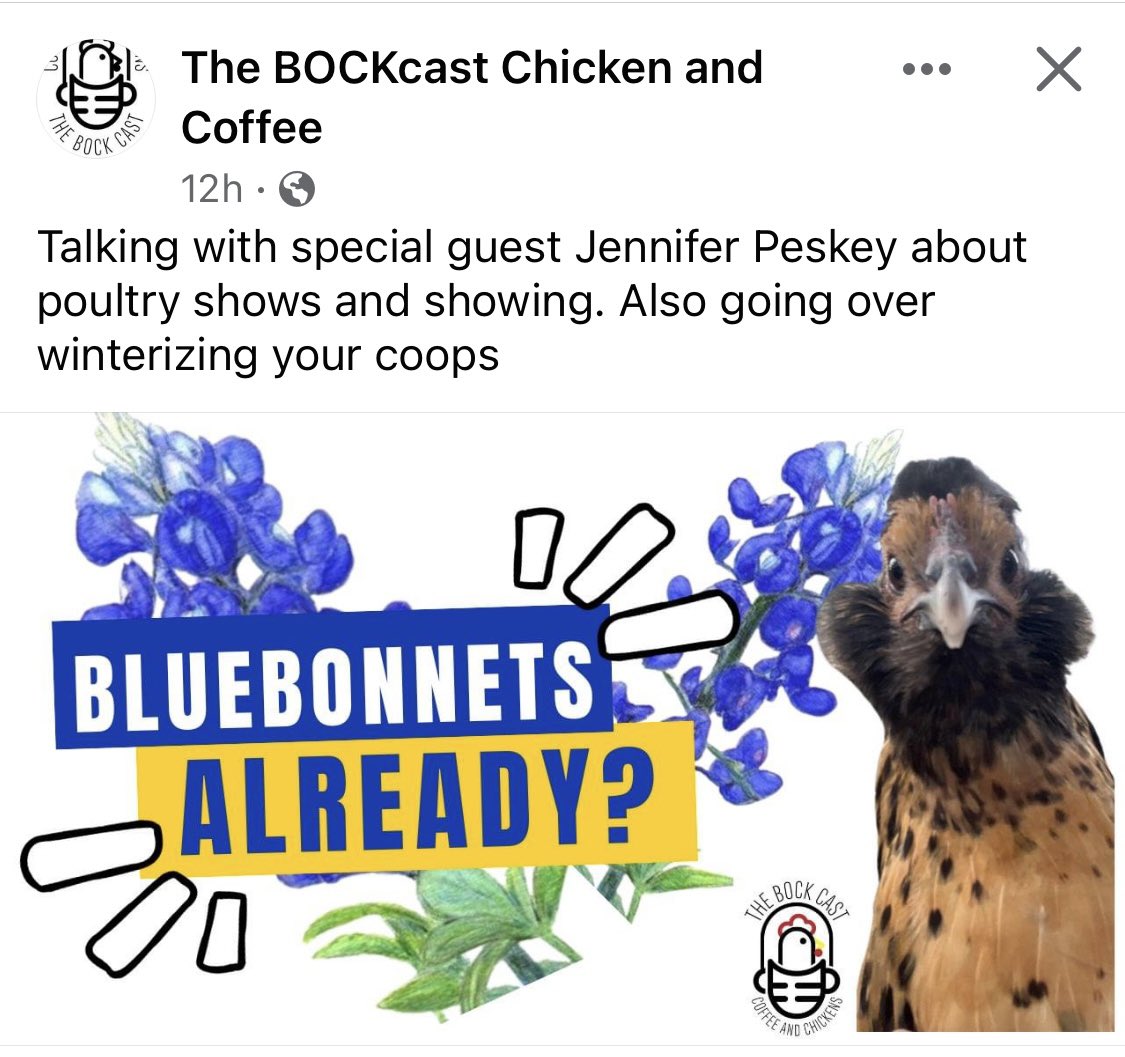 Mrs Peskey tweet media