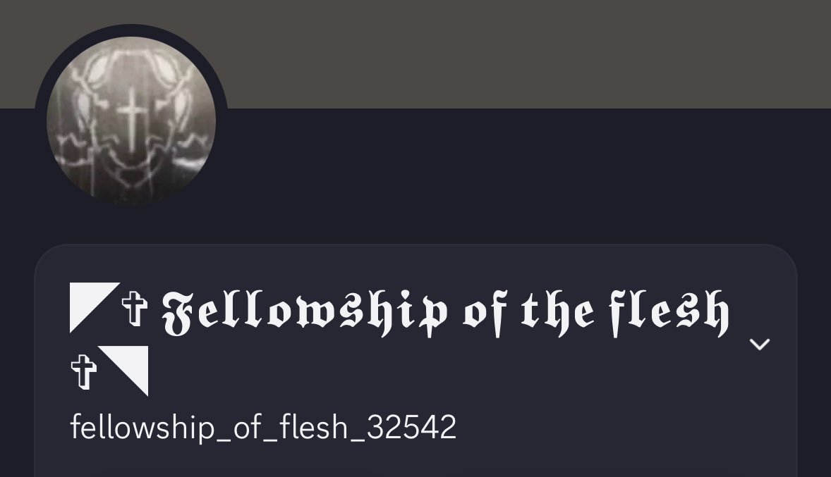 insect_flesh's tweet photo. My discord if you want it https://t.co/bMK0motSE5