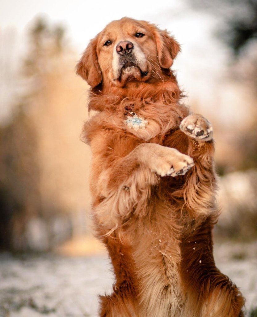 📸📸🇺🇸❤️