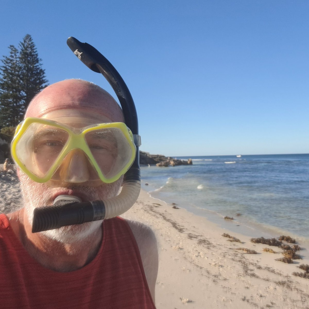 tallandtrue's tweet photo. Perfect start the day, snorkelling at #WatermansBay, where I spent many happy summer holidays growing up in #Perth. 🐟🤿 https://t.co/iJhHthjdJN