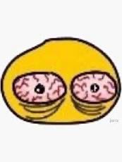 Il est 4h du sbah le chat miaule pour que je l’accompagne jusque sa gamelle afin de le regarder manger ???