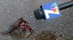 der_ketzer's tweet photo. @andreamuller1 En una entrevista hace unos años al CEO de la franquicia de restaurantes de mariscos en Veracruz, explicó que ese habia sido el acuerdo en una junta alrededor de 1998. Después del Cisma con las Mangostas.
Adjunto fotos de la junta y la entrevista https://t.co/t3Ru0tO63z