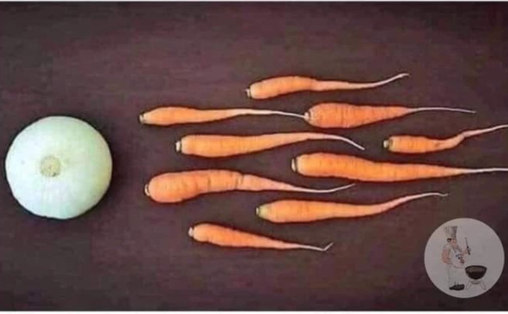 JohnDeVito's tweet photo. #NeedTherapyFor Finding out how Vegans are made https://t.co/qBAAX9mXI1