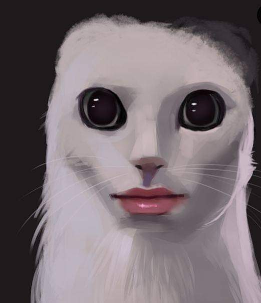 Zenkaxddd's tweet photo. @KsirSatan @TCiceronis @EsdeProfugos Se re nota tu resentimiento XDDDDD https://t.co/8KPzgTCui6