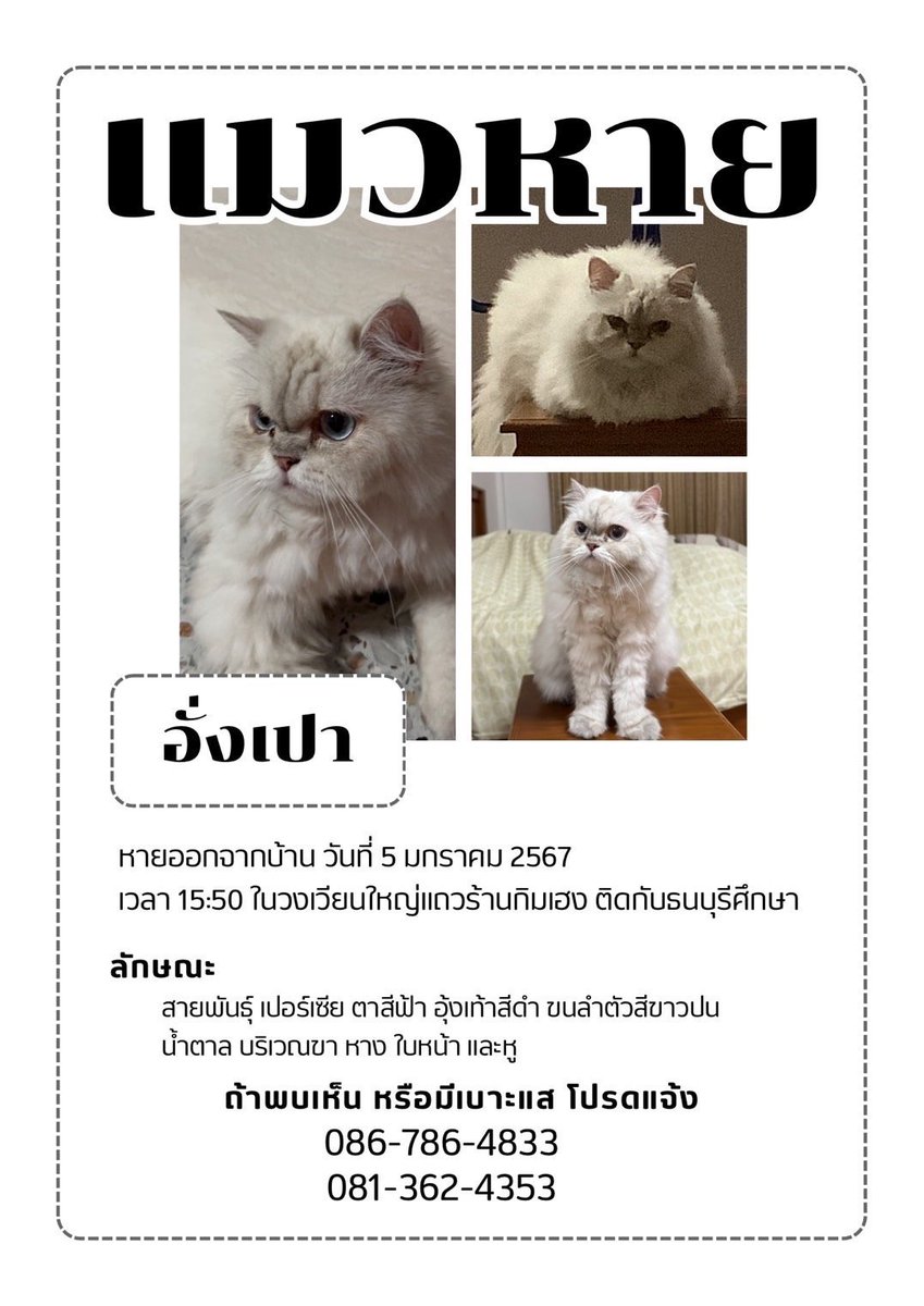 Catster & Co บ้านพักพิงแมวจร tweet media