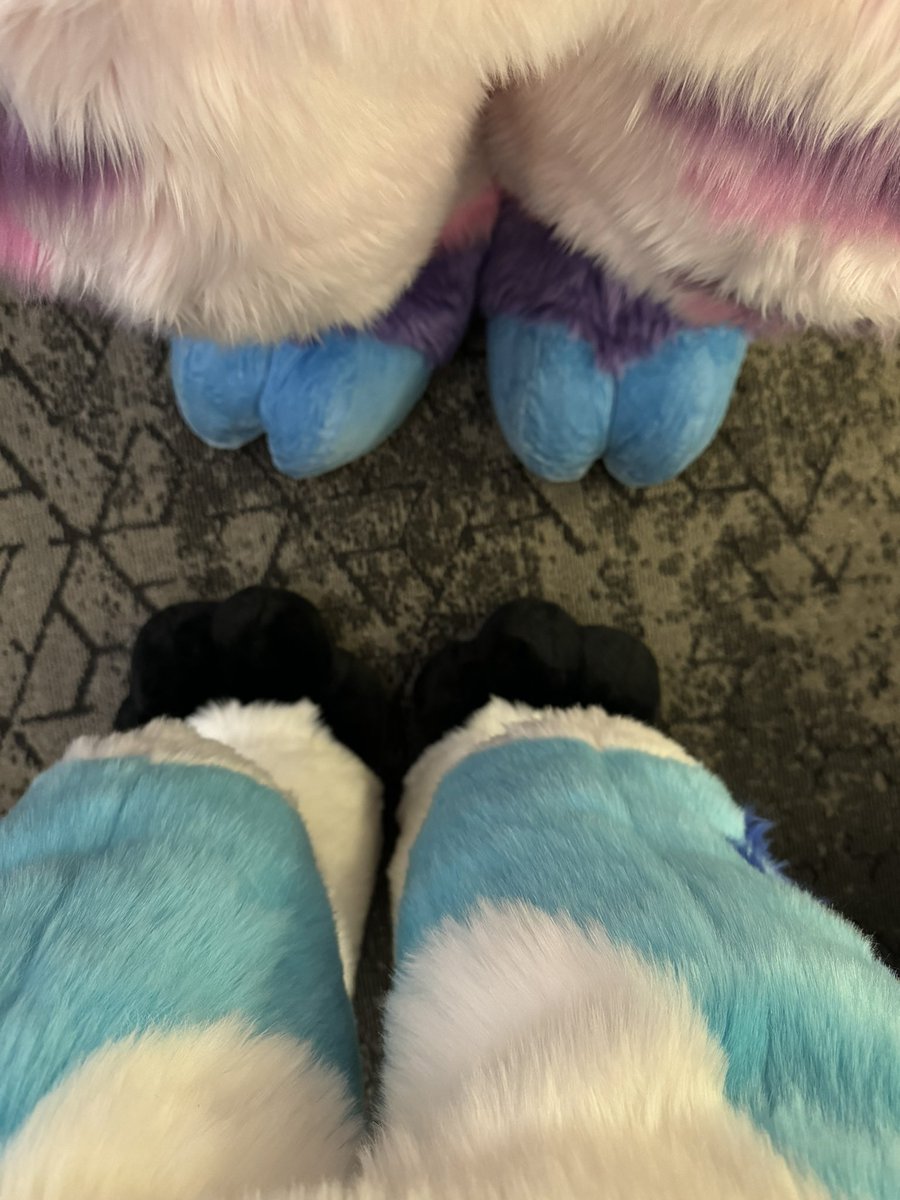 SplatFennec's tweet image. Goating and fennecing at #PDFC