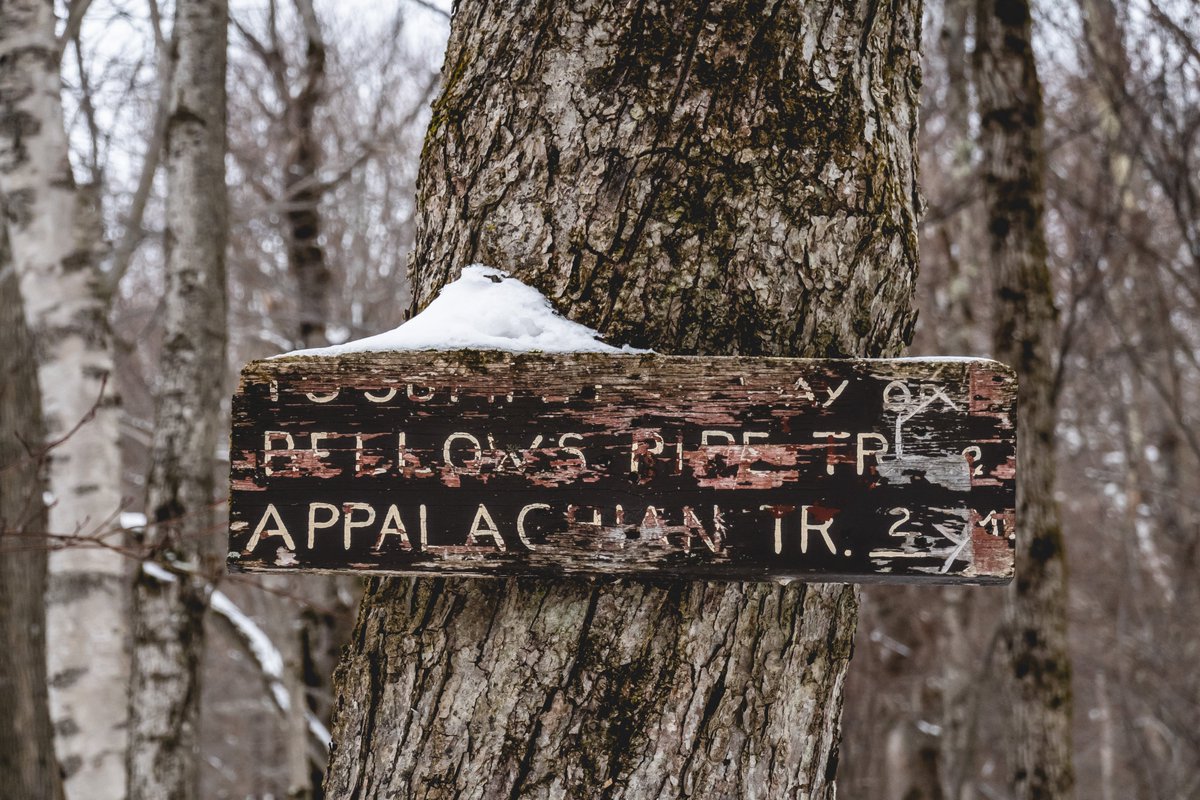 flomustgo's tweet photo. Bellows Pipe Trail on Mount Greylock in MA
#mtgreylock #hikema #Massachusetts #appalachiantrail #winterhike #winter #trailsign https://t.co/KjEhx7gLEf