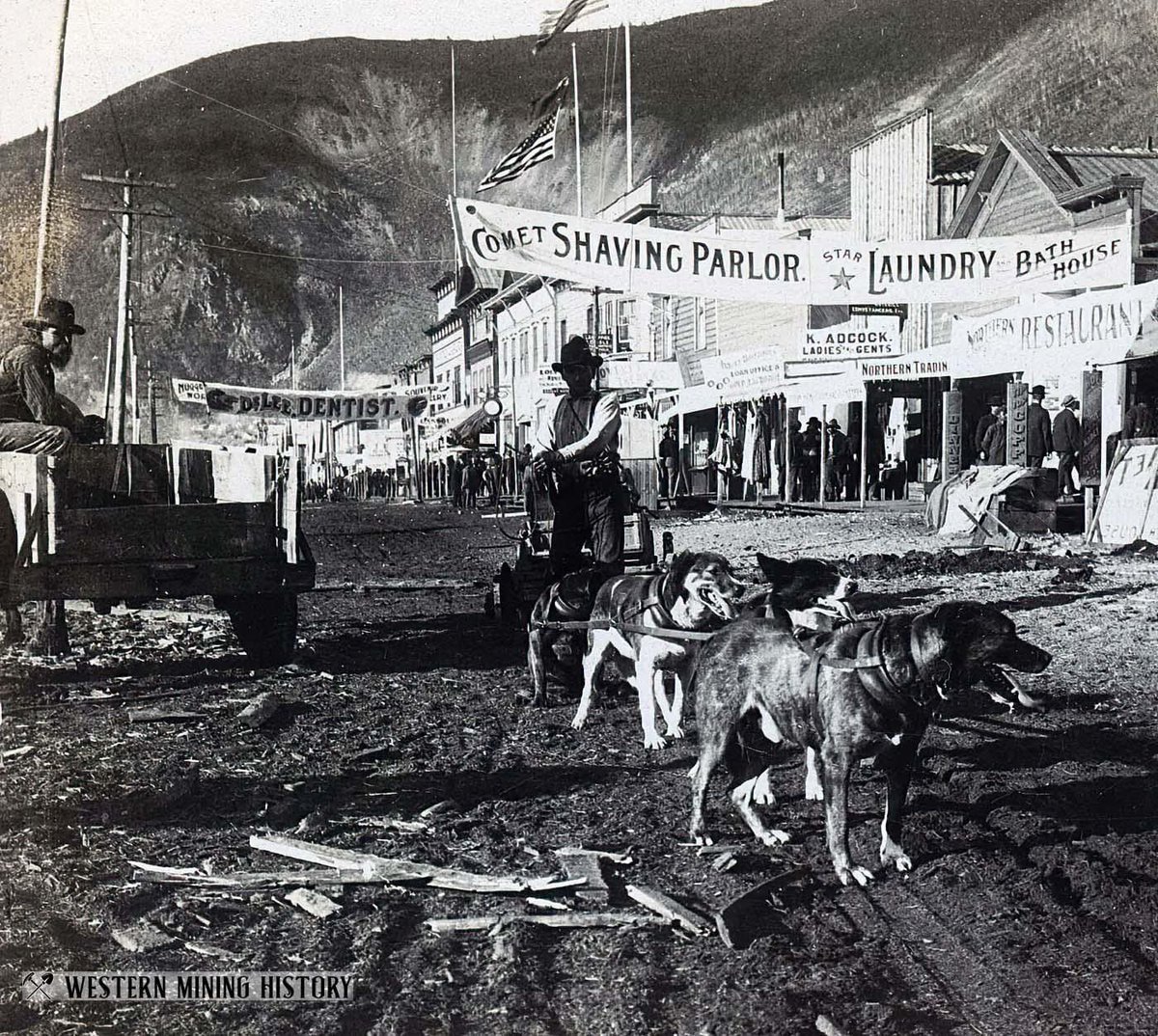 niloc14061952's tweet photo. A dog team pulls cart at Dawson City, Yukon 1900. Banners advertise "Dr. Lee Dentist", Comet Shaving Parlor", and Star Laundry &amp; Bath House". While most people think of dogs in the Yukon pulling sleds, they were commonly used to pull wheeled carts during the summer. https://t.co/rvAmtG6ASp