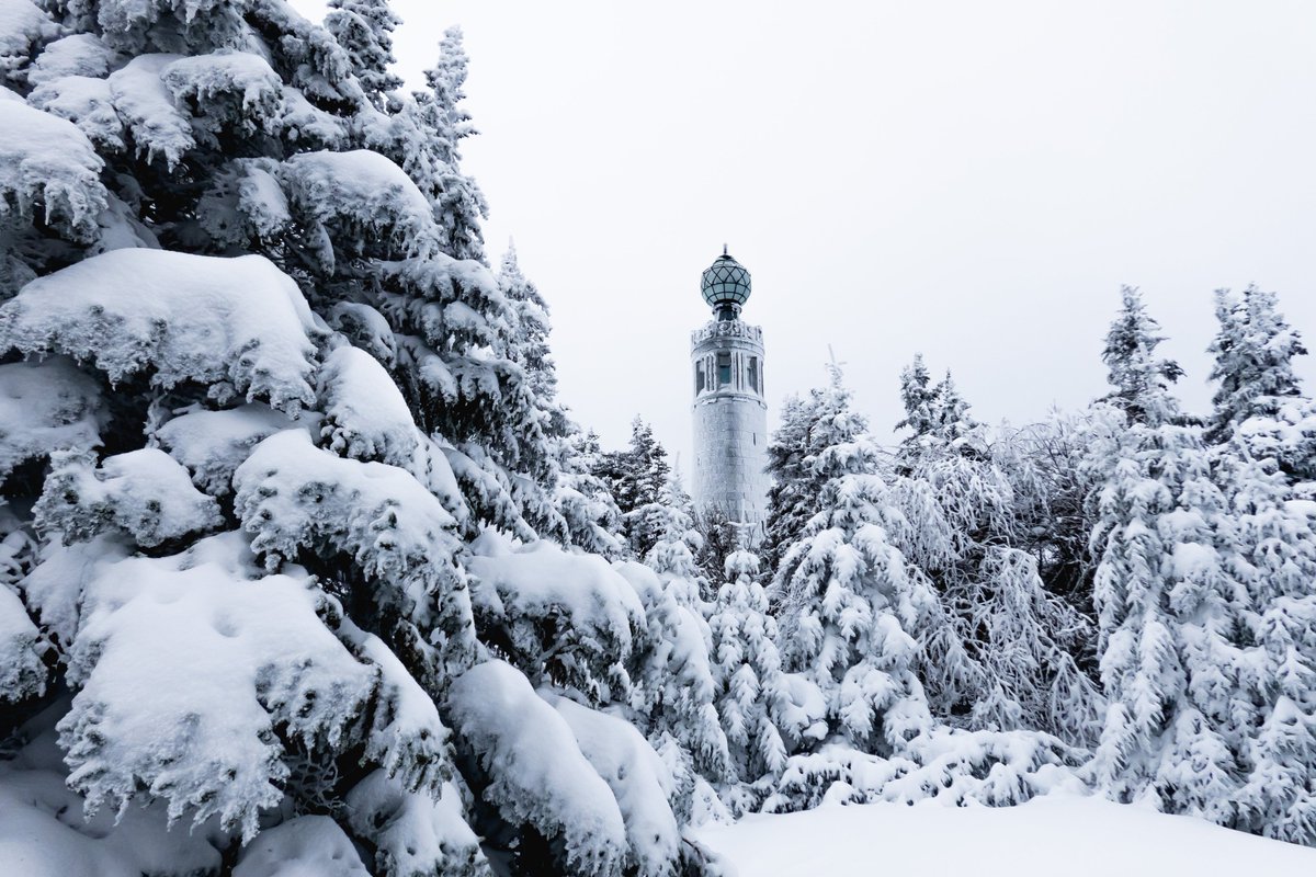 flomustgo's tweet photo. Bellows Pipe Trail on Mount Greylock in MA
#mtgreylock #hikema #Massachusetts #appalachiantrail #winterhike #winter #trailsign #Narnia https://t.co/MzDqDwdWNm