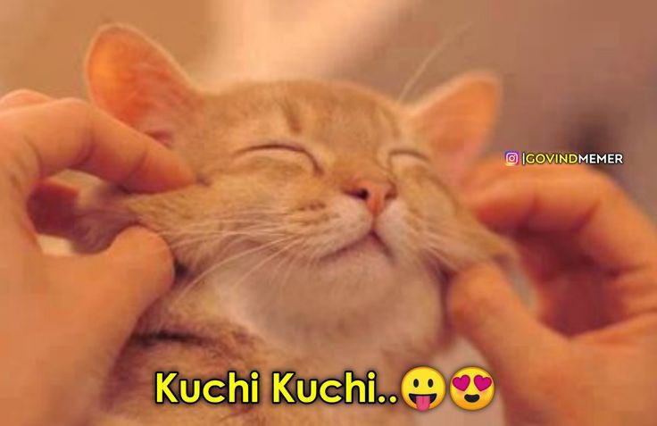 Saialekhyau's tweet image. Alerts🚨🚨🚨🚨🚨🚨 @Sreeram_singer fans💥💥🔥

#SreeramaChandra