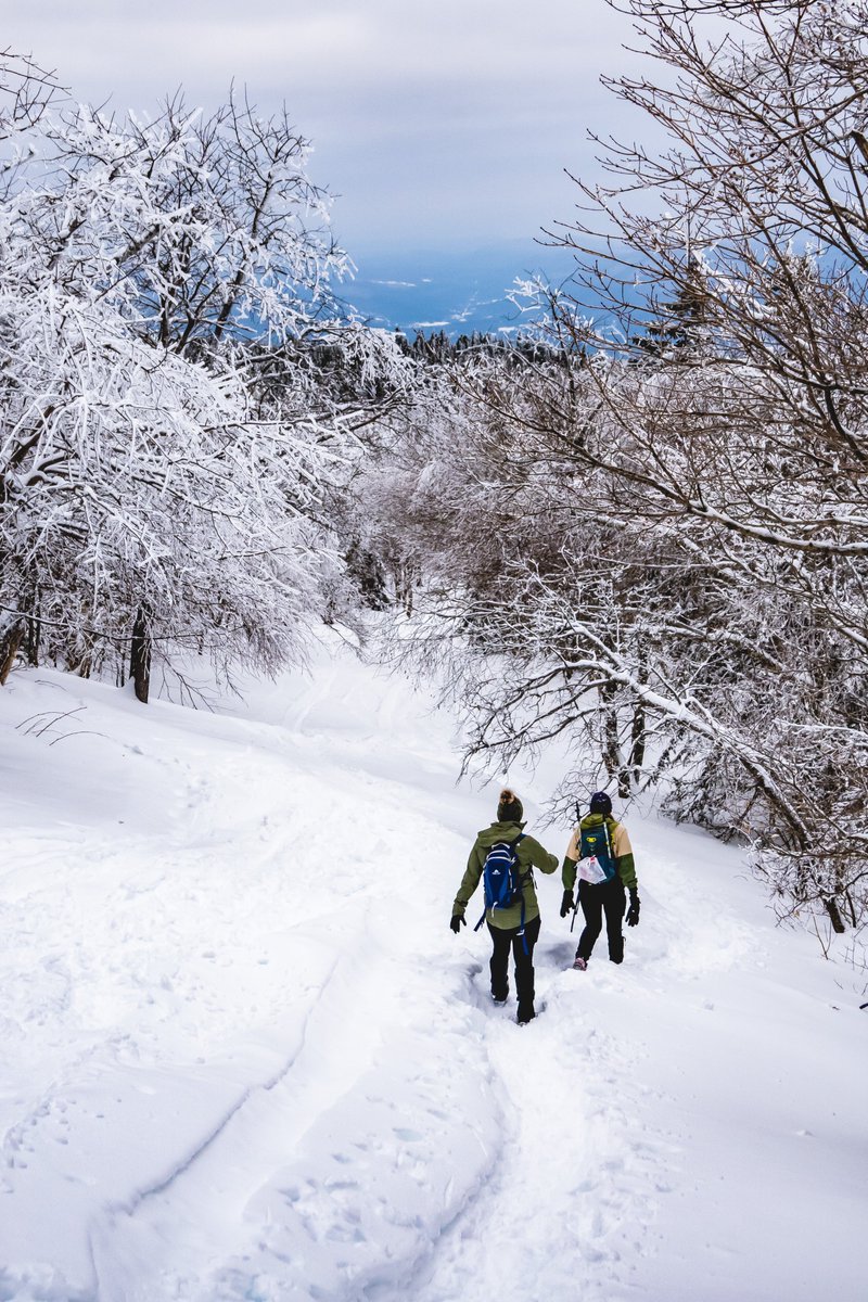 flomustgo's tweet photo. Descending Bellows Pipe Trail on Mount Greylock in MA
#mtgreylock #hikema #Massachusetts #appalachiantrail #winterhike #winter #trailsign #Narnia https://t.co/Pu22IdXKl8