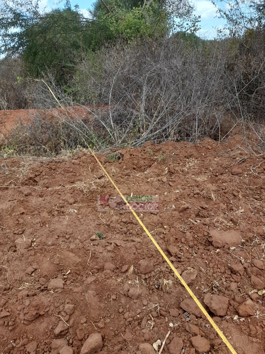 OnionDoctorKe's tweet photo. An initial site survey is conducted by our agronomist/ tech to  check on onion farming viability by analyzing soils, water availability &amp; climate. A farm plan is then developed .Kick start your onion farming with us. To book a visit ,🤙 0706252490/0703982228 . #onionfarming2024 https://t.co/DUdsNouL4L