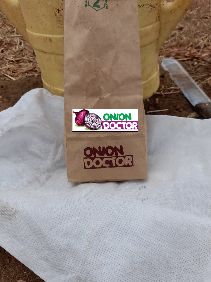 OnionDoctorKe's tweet photo. An initial site survey is conducted by our agronomist/ tech to  check on onion farming viability by analyzing soils, water availability &amp; climate. A farm plan is then developed .Kick start your onion farming with us. To book a visit ,🤙 0706252490/0703982228 . #onionfarming2024 https://t.co/DUdsNouL4L