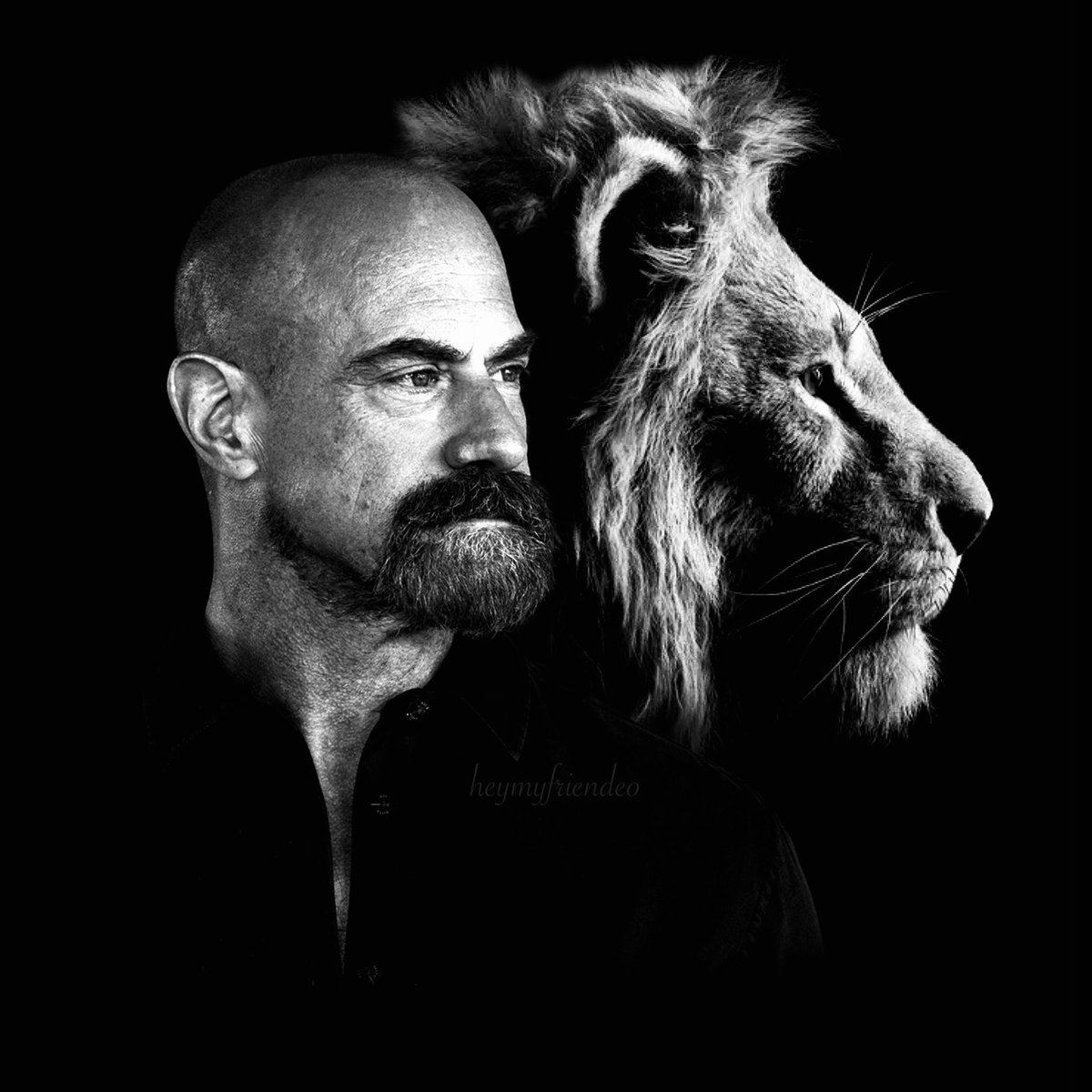 heymyfriendEO's tweet photo. 🖤🦁🖤 https://t.co/dLrjoVmrf9