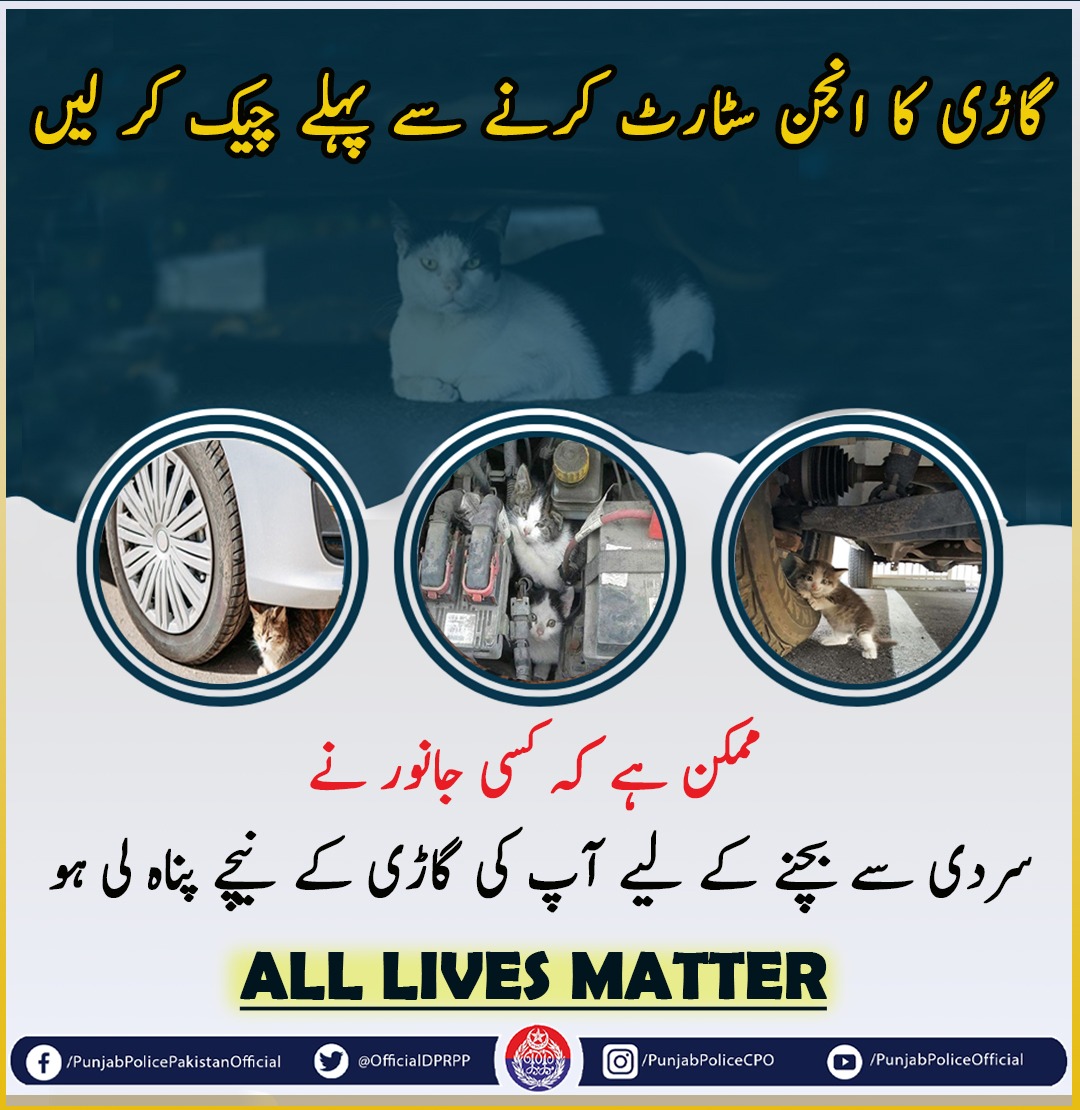 OfficialDPRPP's tweet photo. السلام علیکم! صبح بخیر
آپ کی جلد بازی  کسی معصوم جانور کی جان لے سکتی ہے۔
 #Awareness https://t.co/GOB93EEXUj