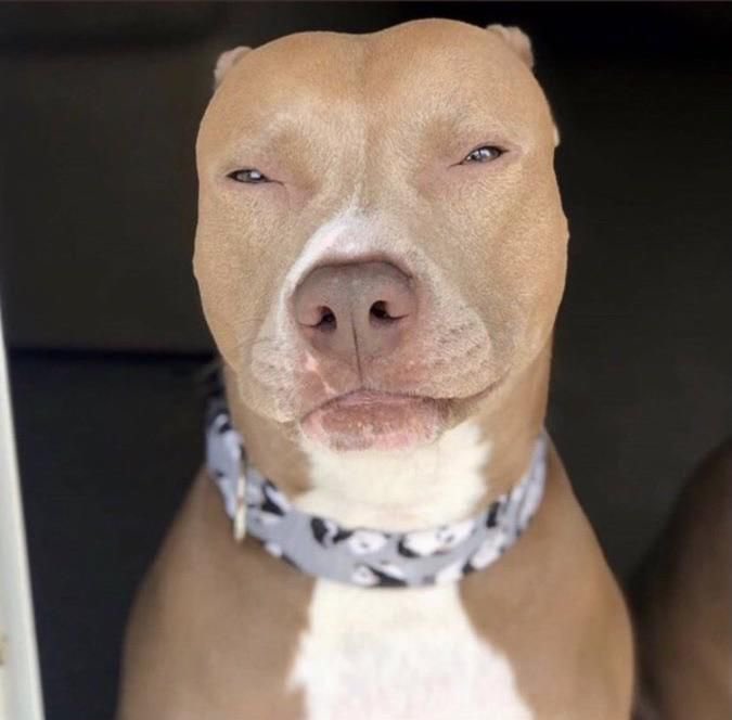shrubbbz's tweet photo. How he be looking 😭😭 https://t.co/SnqMZu0Bqa