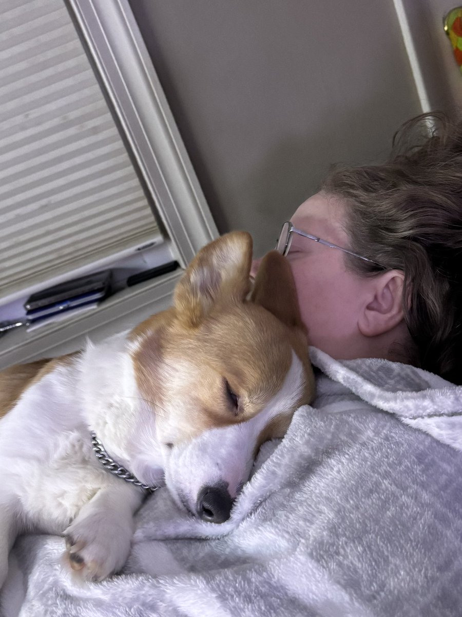 brezcorgi's tweet photo. Snuggling with Mom😴 https://t.co/ll7MU3mmpv