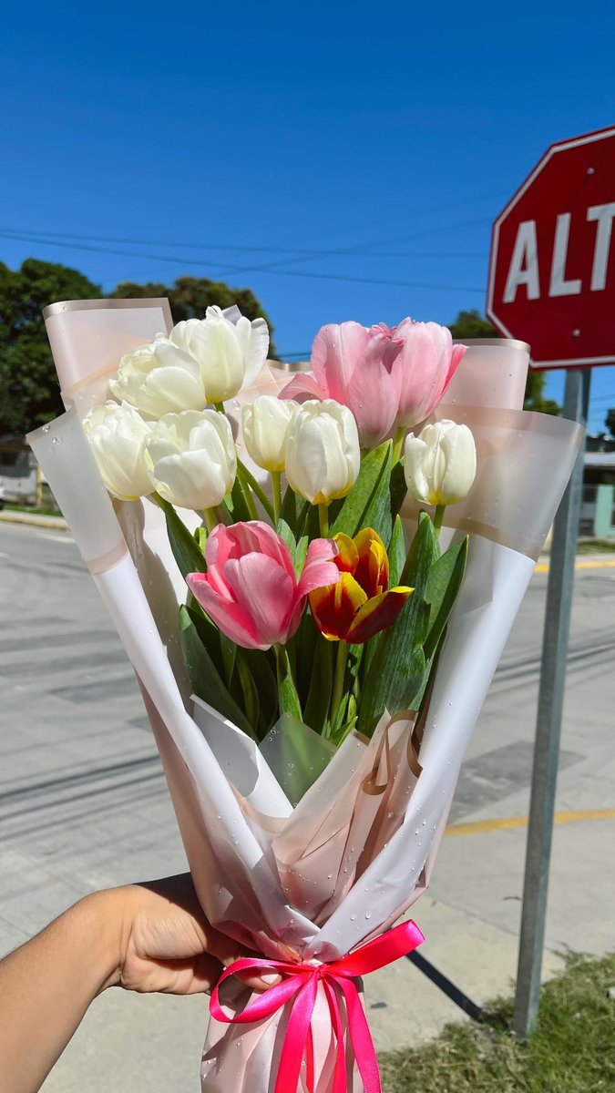 csilvaao's tweet photo. ¡Llegaron los más esperados del año!🌷✨🩷 TULIPS TULIPS 🩷🌷✨ no se queden sin los suyos 🥰 
Ig: @flowerhouse_hn https://t.co/rV600OhKWZ