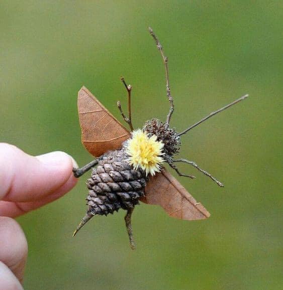 LyricalSkye's tweet photo. @NaturalistDara Irish nature art ! https://t.co/7suNIpqjuP