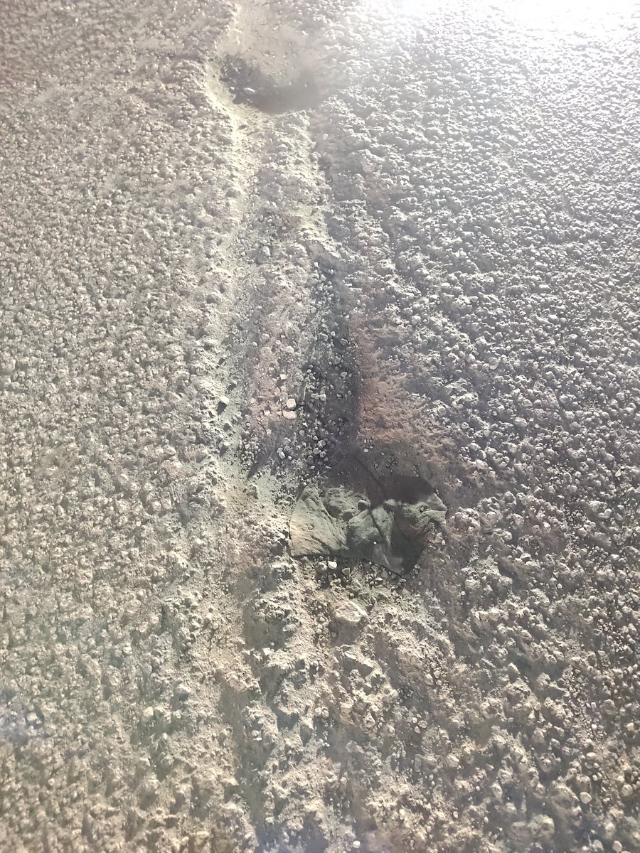 Gaurav Maini tweet media