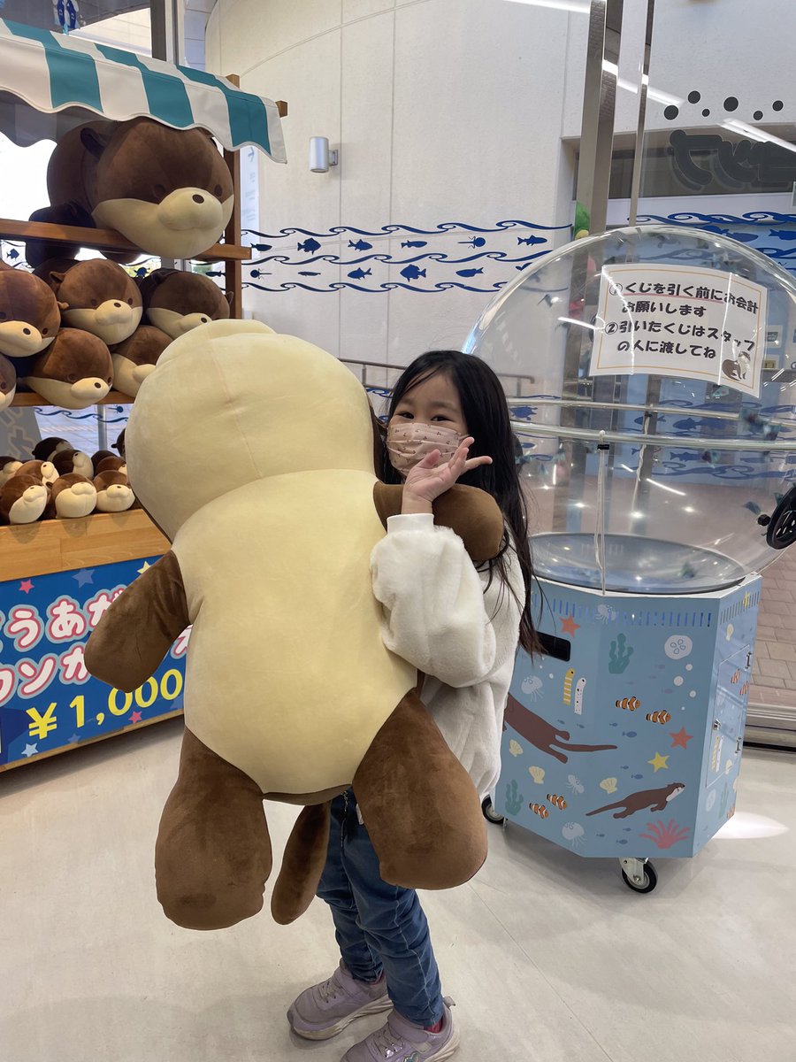 さいたま水族館 売店にて今月から始まった カワウソくじ✨ 1等が出てお