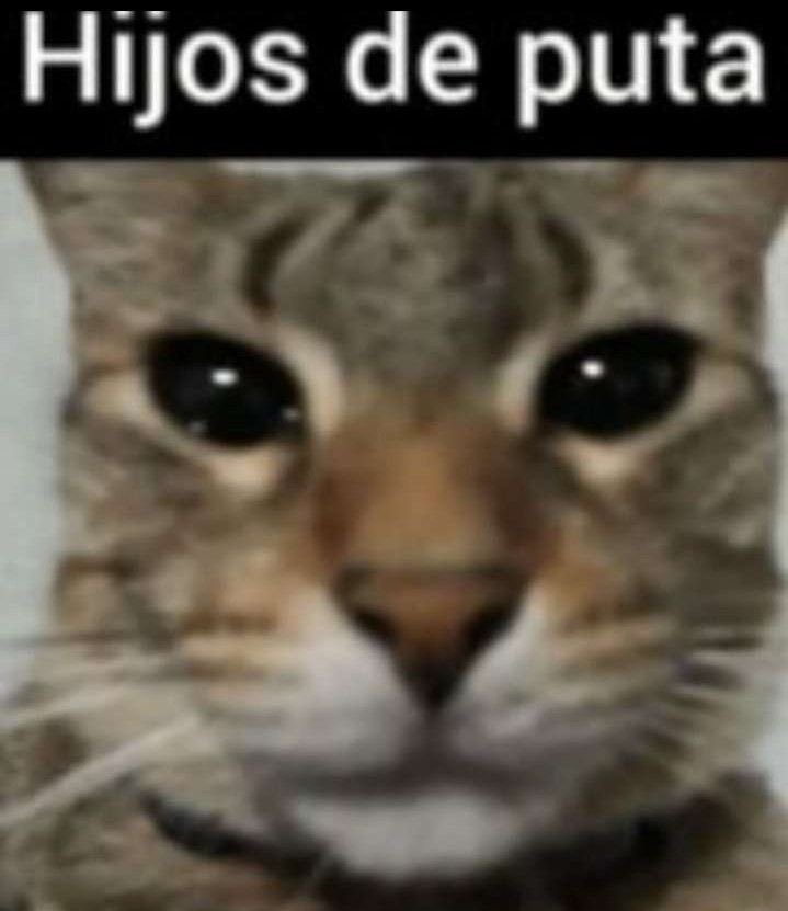 Luisardito tweet media