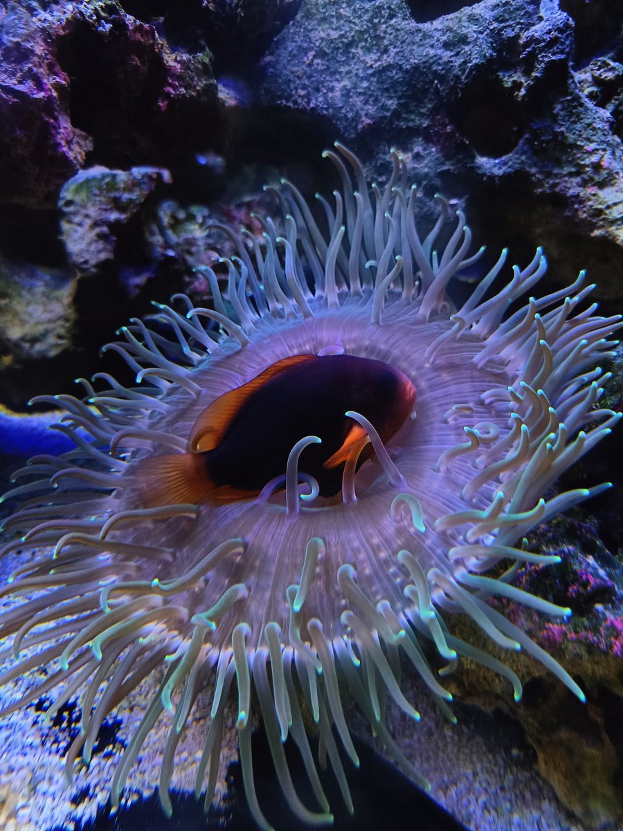 Tirei esta foto hoje, mas não tive ninguém para poder fotografar olhando distraidamente para essa paisagem...