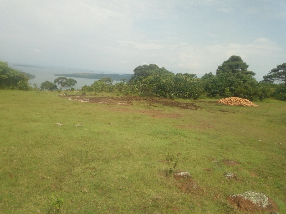 KiapiKFreddie76's tweet image. Gudmo #UOT from the #LandofGreenness -Buikwe district with a scenic view of Lake Victoria. The #Kiapi family wishes U all a peaceful weekend &amp;amp; keep staying safe. #YourLifeMatters For God &amp;amp; My Country @HonMutasingwa