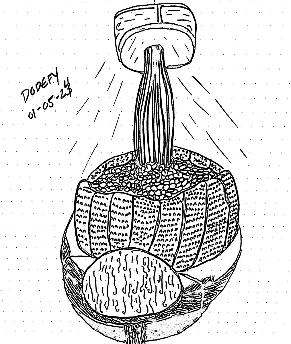 dodefyme's tweet photo. Sketch no 2! Reduced the number of lines than previous sketch. This is an interesting lamp that radiates light all around this circular bench https://t.co/pDhyZ8mjHy