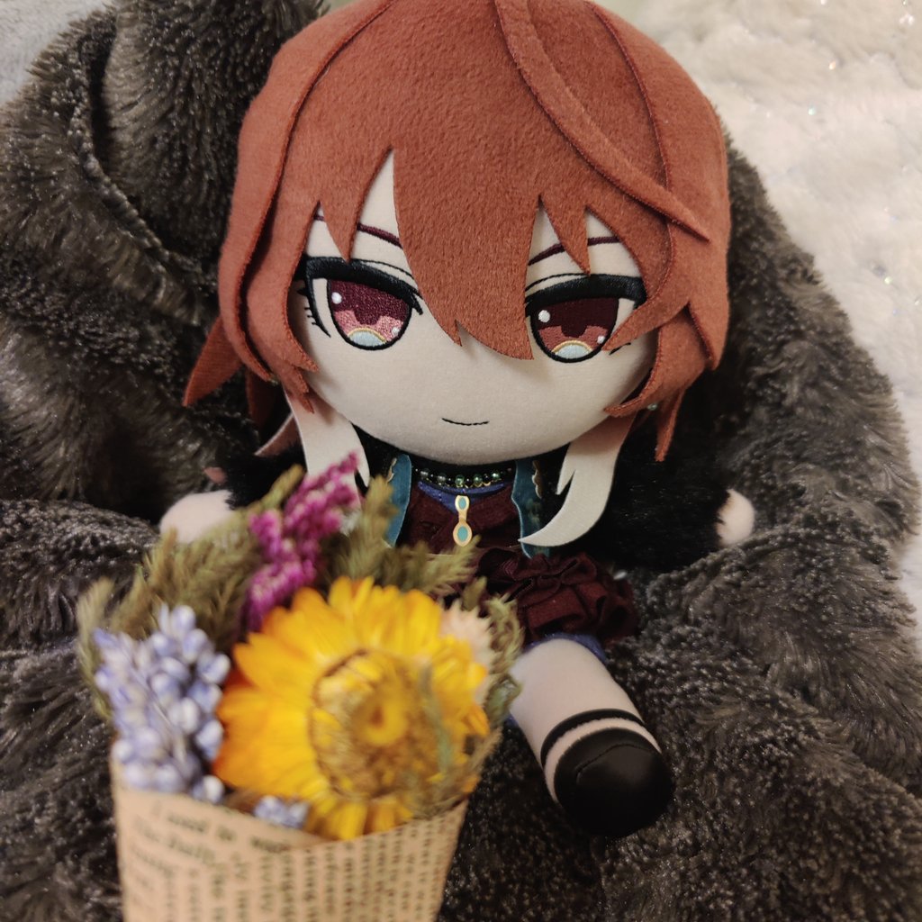 nui_r6's tweet photo. エブリデイ ぬい感謝デー https://t.co/uy9IK3sUnf