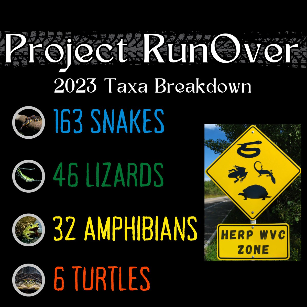 herpsocsg's tweet photo. We are bringing you our annual #ProjectRunOver summary for 2023!
A huge thanks to the community scientists who are vital to this project!!
Do continue to watch for wildlife-vehicle collisions when you are out and about, and submit them to us. https://t.co/EQk2CaC8Gt