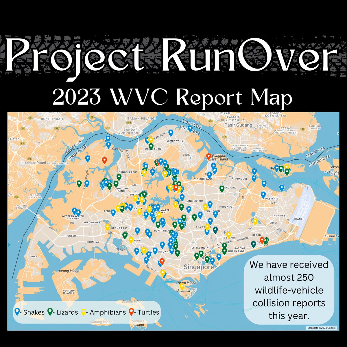 herpsocsg's tweet photo. We are bringing you our annual #ProjectRunOver summary for 2023!
A huge thanks to the community scientists who are vital to this project!!
Do continue to watch for wildlife-vehicle collisions when you are out and about, and submit them to us. https://t.co/EQk2CaC8Gt