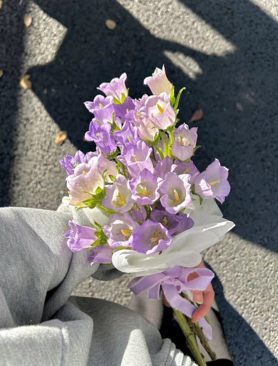 purple bellflowers bouquet