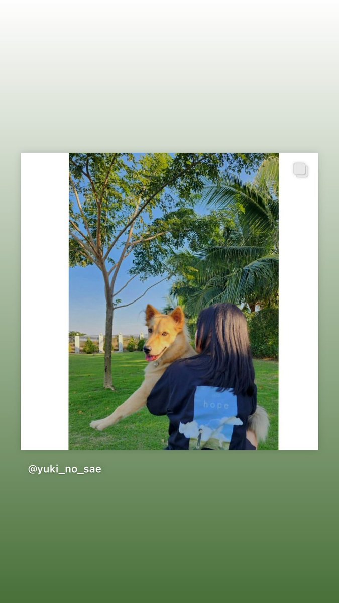 YinWar_JP's tweet photo. 2024.01.06 olulo objects IGS

Cr. olulo.objects

#1stHopeCollection
#oluloHopeCollection
#olulo 
#หยิ่นวอร์
#warwanarat W.Wanarat
@warwanarat @oluloobjects 
#YinWar_JP https://t.co/J9hPmdEsQ7