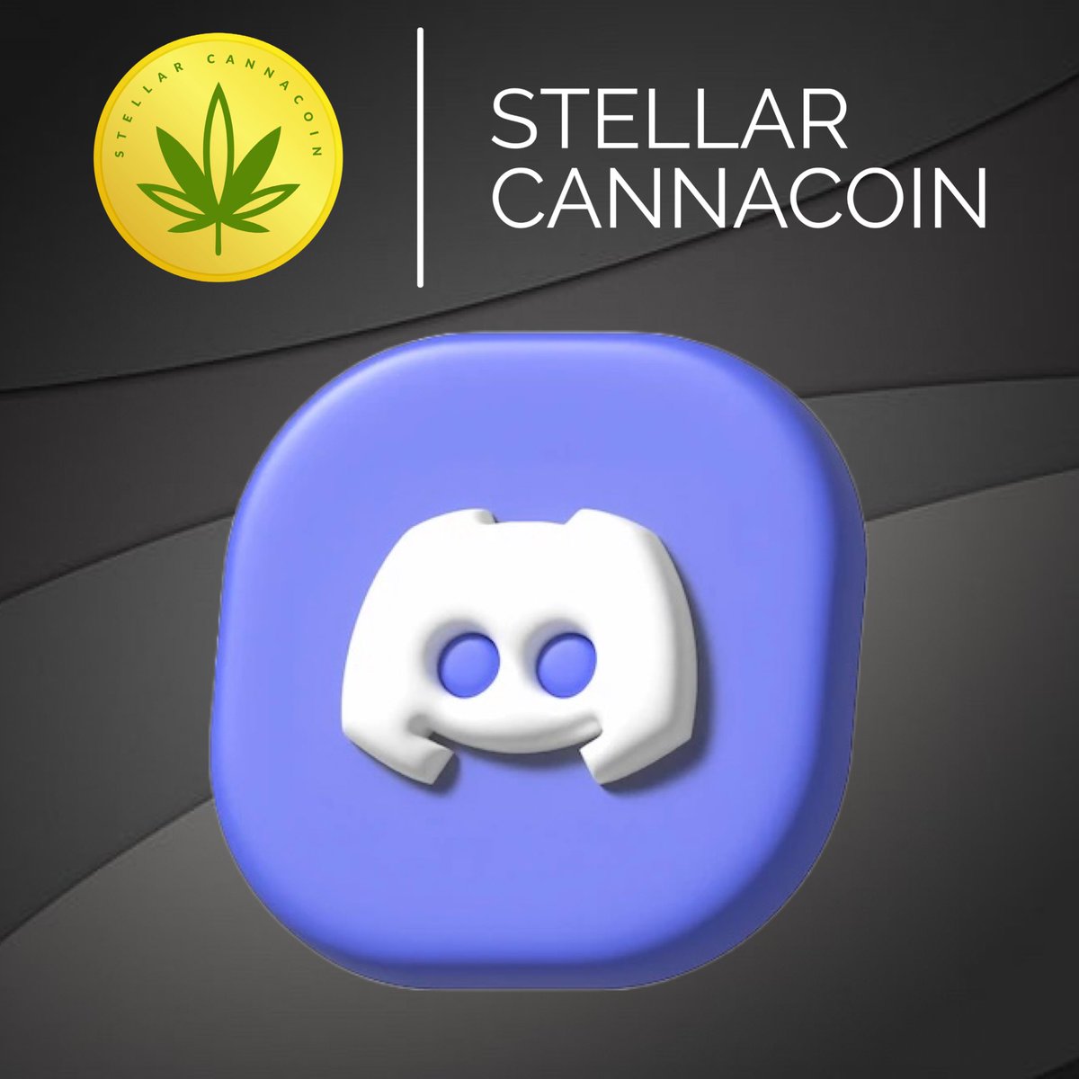 Burnsivxx tweet media