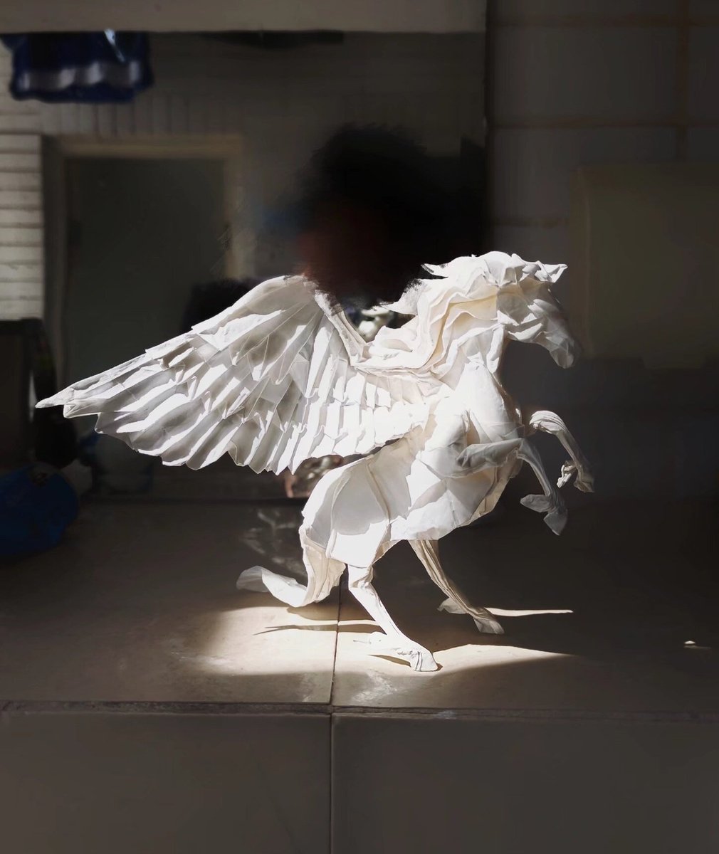 两种不同的天马