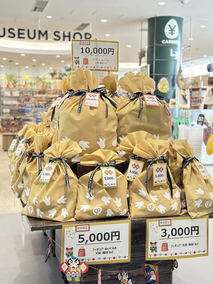 福井県立恐竜博物館 10,000円福袋 開封の儀！ 続いては10,000円の福袋