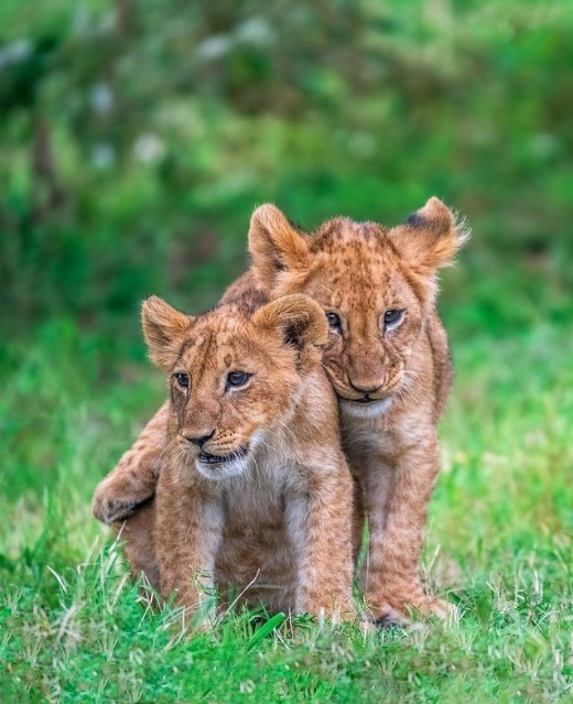 widetraveldeal's tweet image. PHOTO CREDIT✨

Best Picture of the Day 6/366 

#Nairobi #Uganda #Bugingo #Yaka #Travel #Mulago