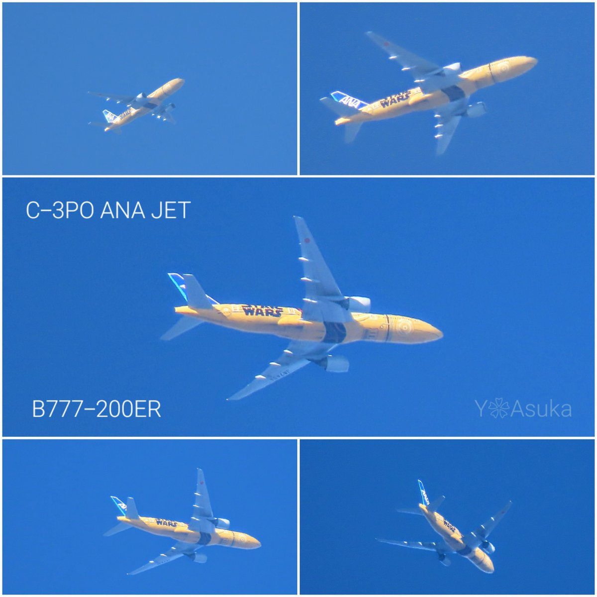 yumeasutw's tweet photo. 朝空を行く✈️✨
晴れ渡る視界良好な #青空 を
黄金色の機体を輝かせ
新千歳空港を目指し
C-3PO ANA JET が行きます✨
やっと出会えて感動の朝でした😆💕
#ANA #ボーイング #B777_200ER
#スターウォーズジェット
#C3POANAJET #特別塗装機
#ソラマニ_ヒコーキ #初見機
#a2024 #a0106 #a202401 https://t.co/MbsEY4IAe6