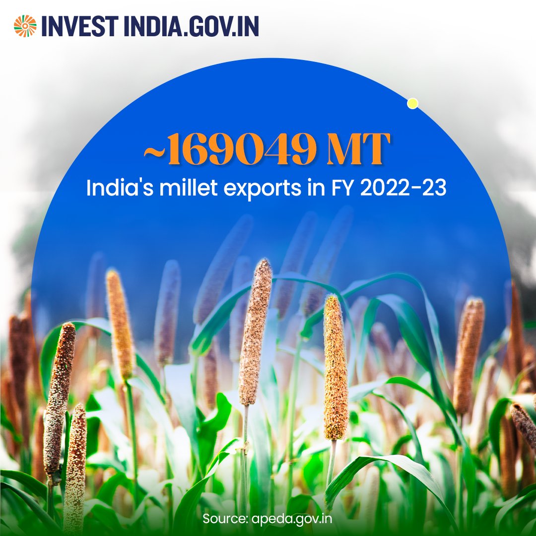 investindia's tweet image. Rajasthan, Karnataka, Maharashtra, Uttar Pradesh, Haryana, and Gujarat account for more than 83% of India&apos;s millet production, powering sustainability and ensuring food security.

Discover more: bit.ly/II-FoodProcess…

#InvestInIndia #InvestIndia #FoodProcessingSector #IYM2023