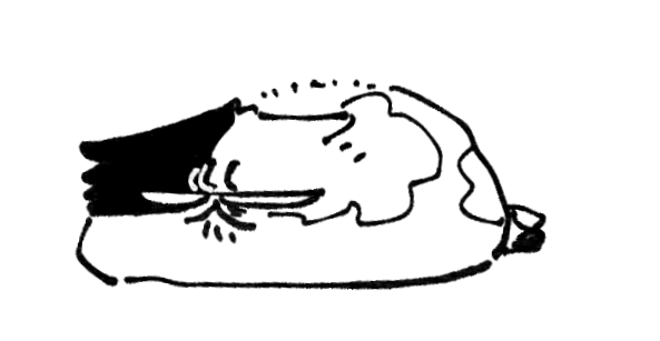はぴじゃむもといわんにゃん再掲まとめ㊶
ちょっとCP要素ある 