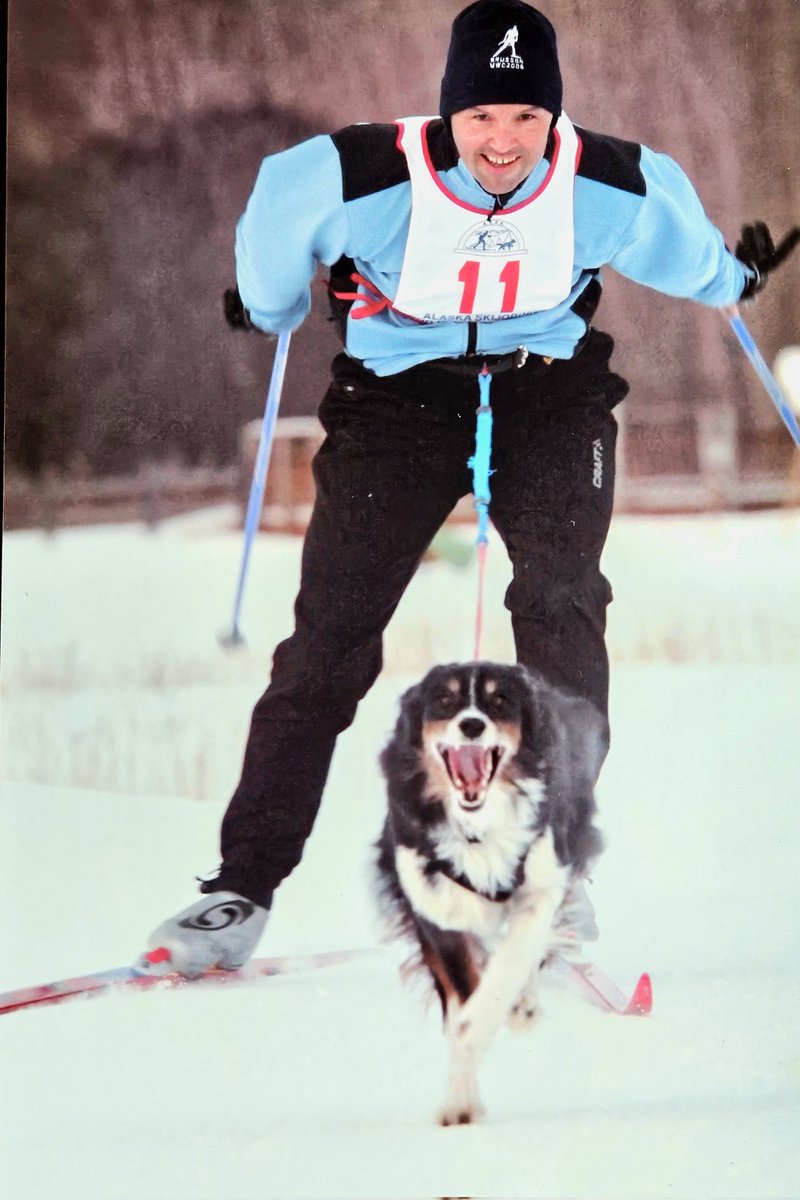 Right behind you buddy. #alaska #winter #skiing #skijor #skijoring #xcskiing #nordic #australianshepherd #aussielovers #aussie #goofy #sweetgirl #Racing #raceday #speeddemon