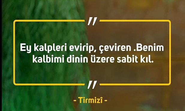 ÖLÜ 🪦💀 tweet media