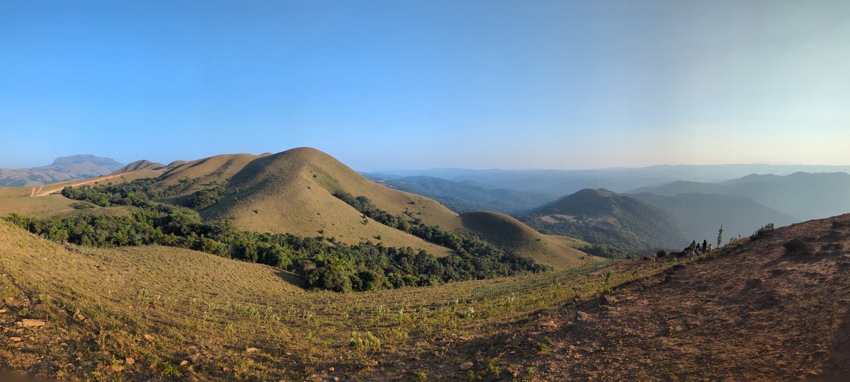ks_mitul's tweet photo. #madikeri #coorg #shotonpixel7 #pixel7 https://t.co/lUh3bfJBwk