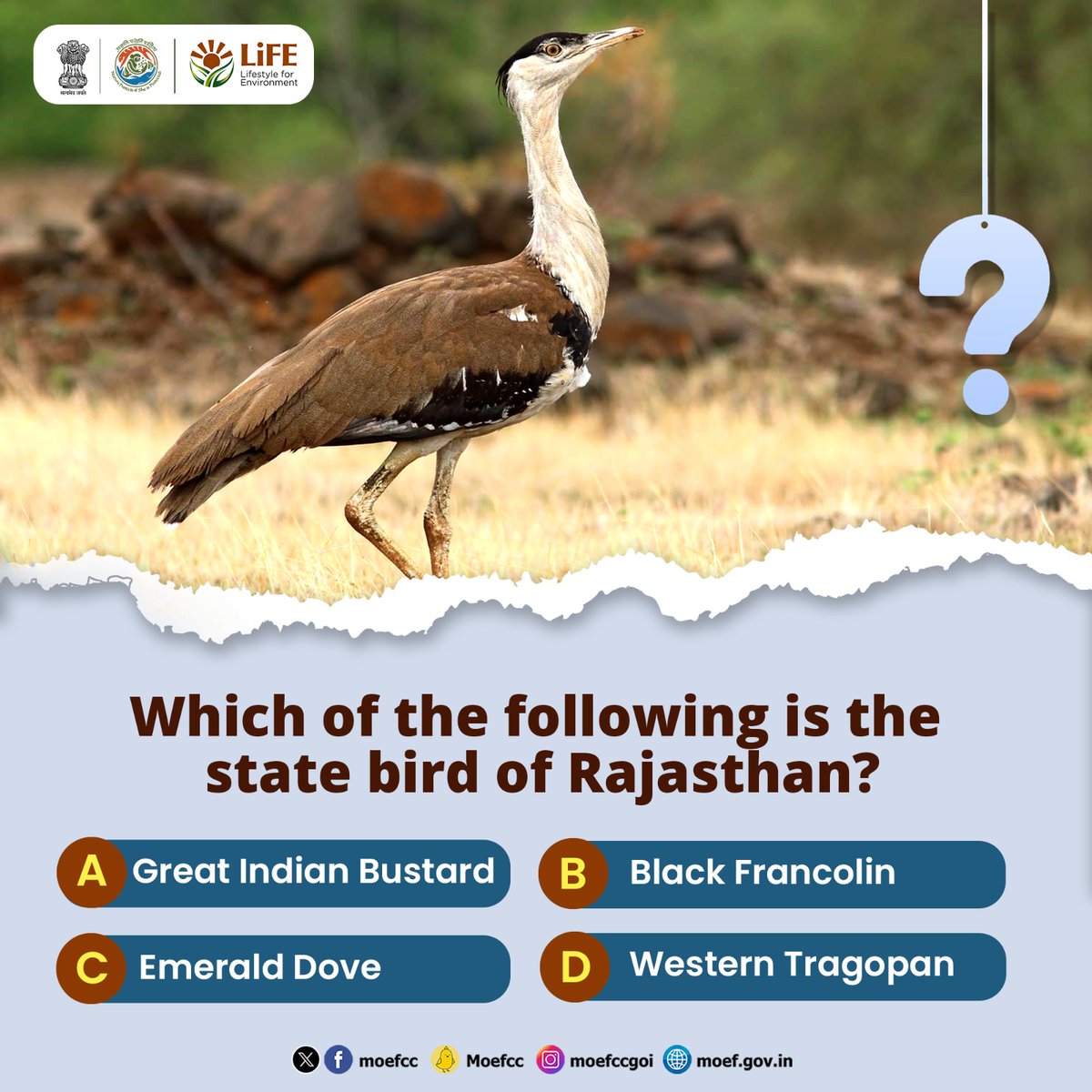 🐦 How well do you know our feathered friends? Take part in our bird-themed quiz and comment below with your answers! #WorldWetlandsDay #WetlandsAndHumanWelbeing #QuizTime